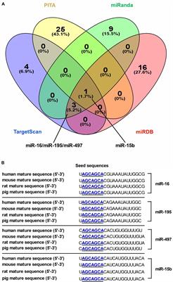 Identification and Functional Verification of MicroRNA-16 Family Targeting Intestinal Divalent Metal Transporter 1 (DMT1) in vitro and in vivo